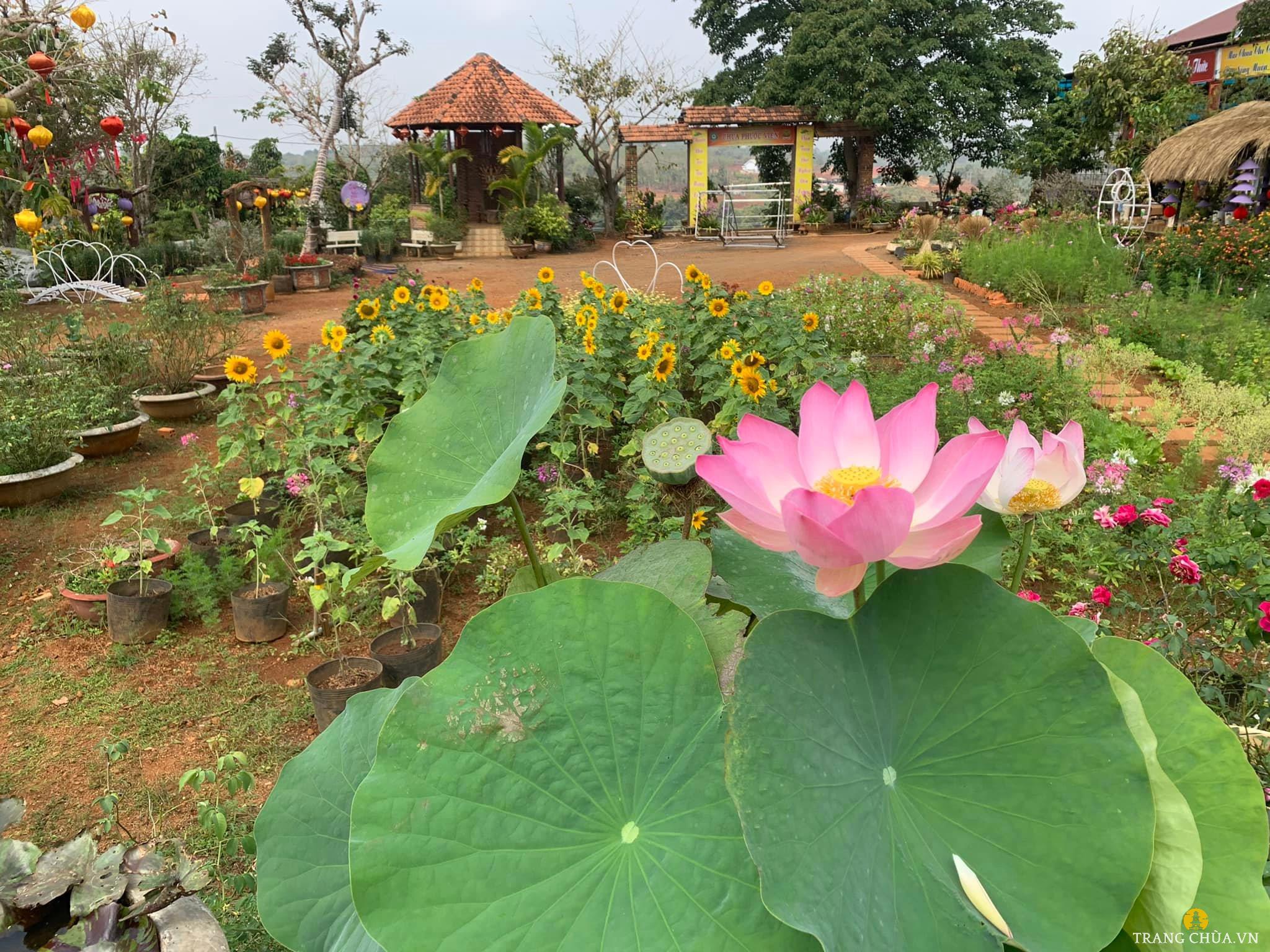 Chánh điện của chùa Phước Viên mặc dù chưa hoàn thiện nhưng vẫn đảm bảo sự trang nghiêm và tôn kính.