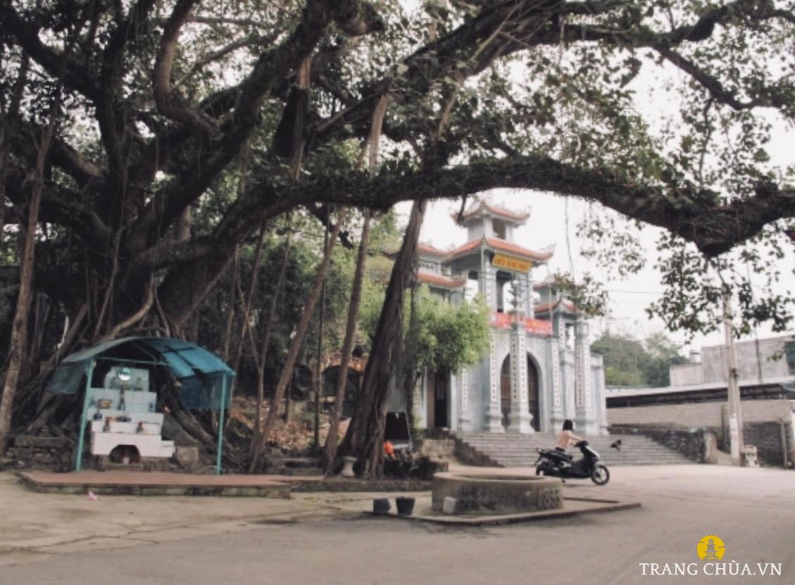 Bên trong chùa, các pho tượng được bài trí trang nghiêm, mỗi pho tượng đều mang một ý nghĩa và giá trị riêng.